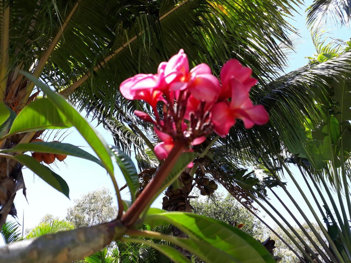 Brahmanhut - Eco Hut Experience In Harmony With Nature, Wellbeing And Spirit Bain Boeuf Bagian luar foto