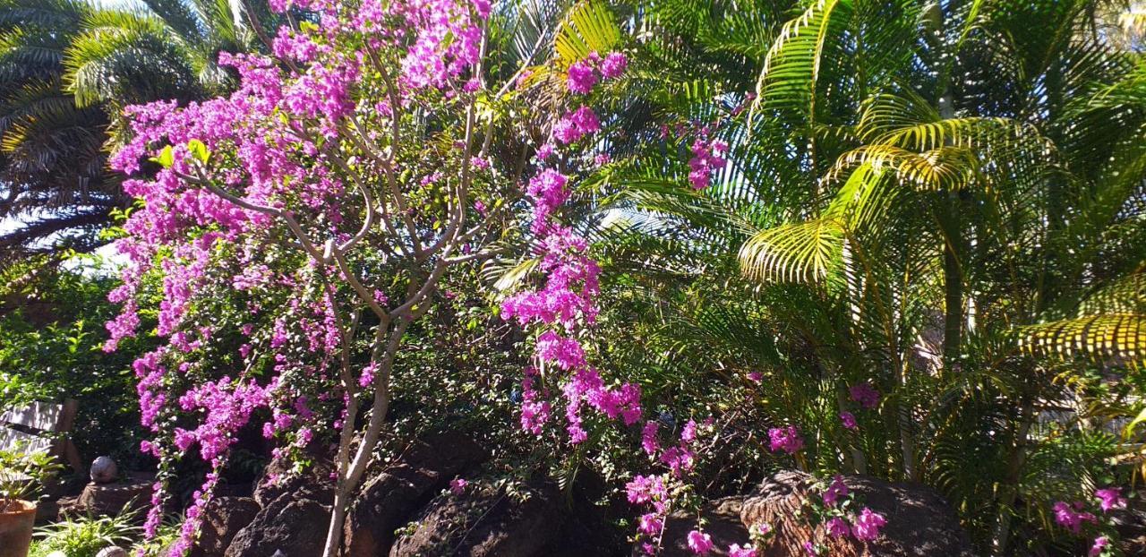 Brahmanhut - Eco Hut Experience In Harmony With Nature, Wellbeing And Spirit Bain Boeuf Bagian luar foto